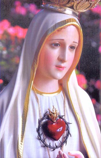 Zdjęcia Figury Matki Bożej Fatimskiej - MFATIMA6.JPG