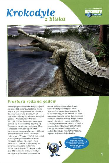 Krokodyle - xd-002.jpg