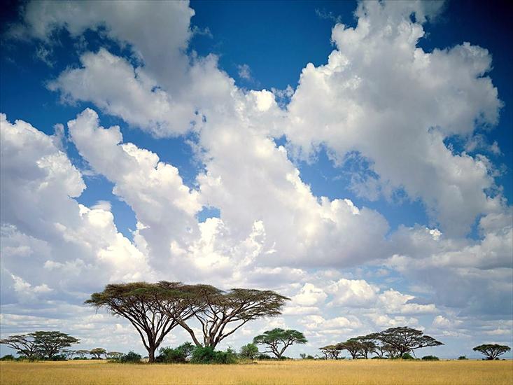 Chmurki na niebie - Masai Mara Game Reserve, Kenya.jpg