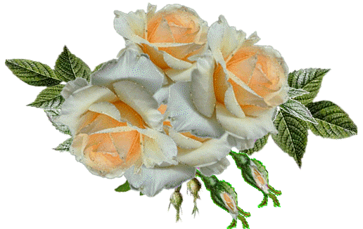 Róże - 153.gif