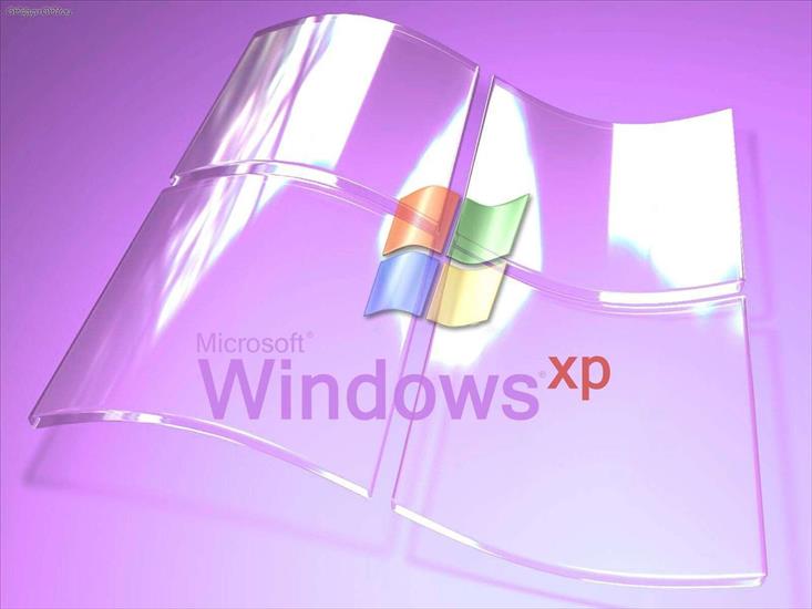 TAPETY NA PULPIT - Windows_XP_Glass_Purple.jpg