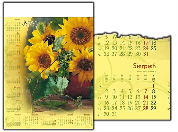  Kalendarze 2010 - kalendarzeB1_3.jpg