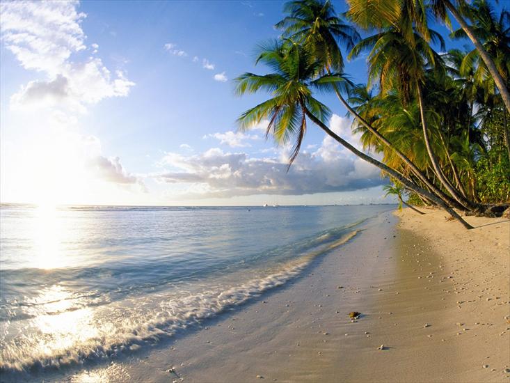  Plaże - Serenity, Pigeon Point, Tobago - 1600x1200 - ID .jpg