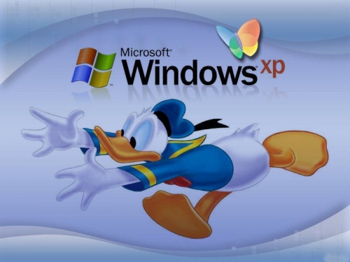 tapety windows - Windows_XP_02.jpg