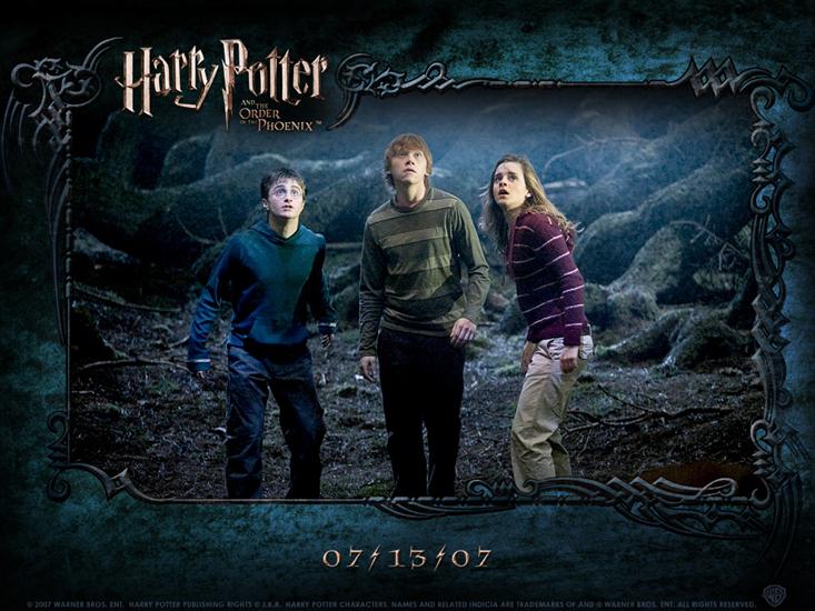 Harry potter - hp5_trio.jpg