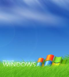 Różne - s4612_microsoft_windows-1024x768.jpg