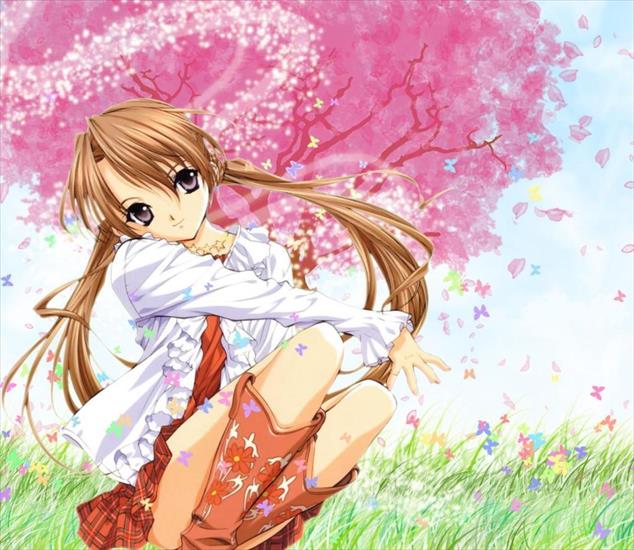 Tapety Anime  - spring-anime-flowers.jpg
