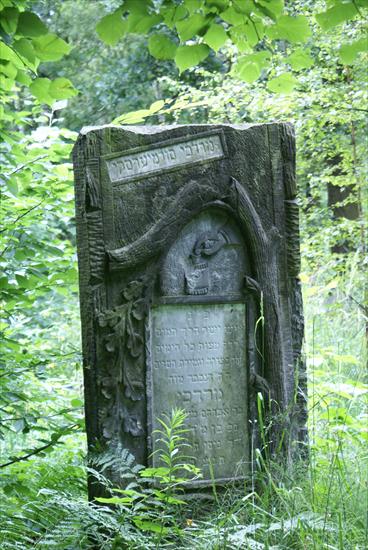 KIRCHOL - żydowski cmentarz w Łodzi - kirch 018.jpg