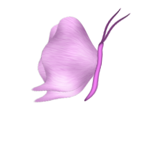 komplet4 - butterfly 5.png
