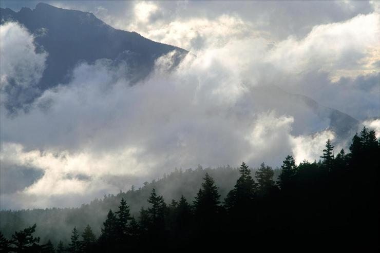 Webshots Collections - Olympic Mountains and Clouds, Washington  Stephen Matera.jpg