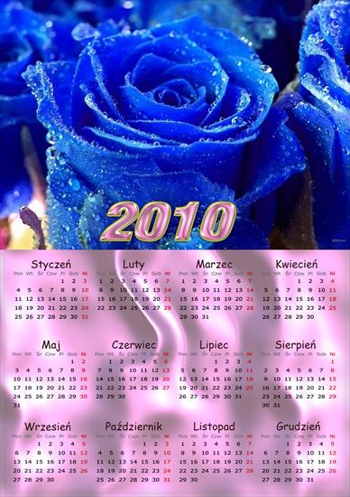  Kalendarze 2010 - kalendarz 11.jpg