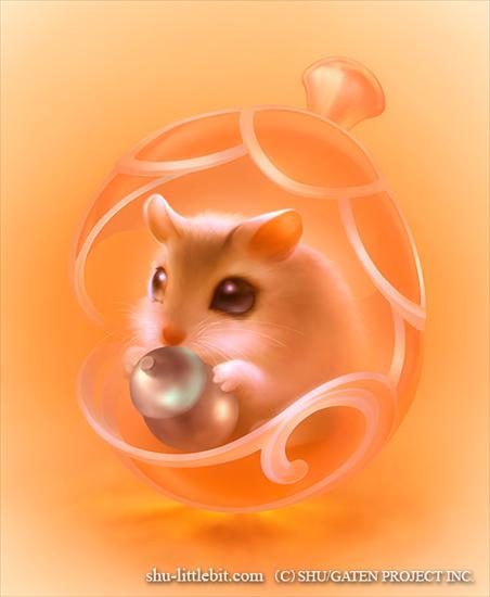 Candy - iCandy hamster.jpg