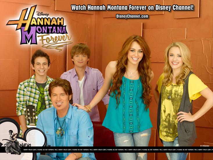 Hannah Montana Forever - hm01_2.jpg