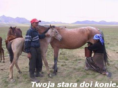 t twoja-stara - kyrgistan-nomad.jpg