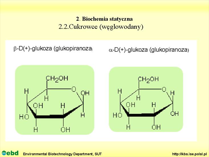 BIOCHEMIA 2 - biochemia statyczna - Slajd22.TIF