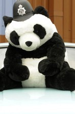 Pandas - 5.jpg