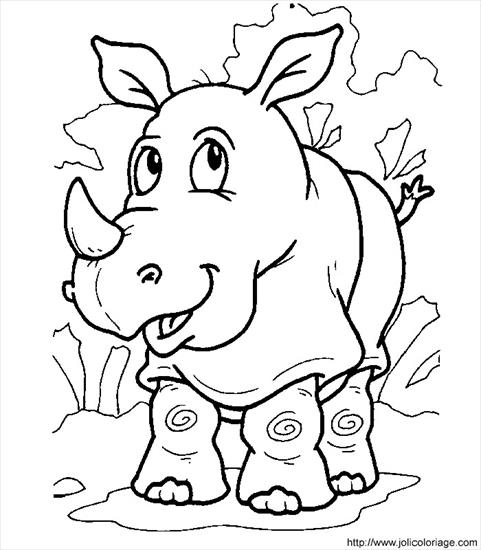 zoo - rhinoceros01.JPG