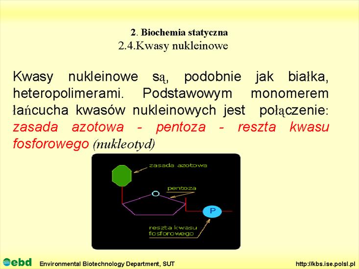 BIOCHEMIA 2 - biochemia statyczna - Slajd45.TIF