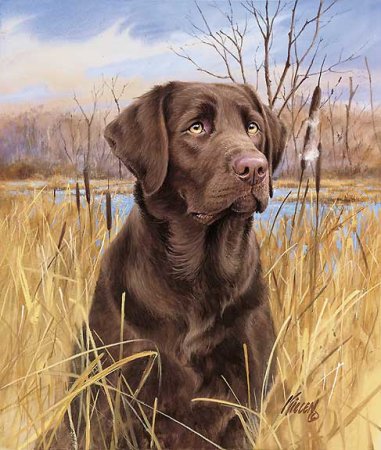 JIM KILLEN TEMATYKA MYŚLIWSKA - Thats_My_Dog_Chocolate_Lab_JK.jpg