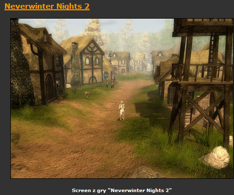 Neverwinter Nights 2  gra PL - ScreenShot016.bmp