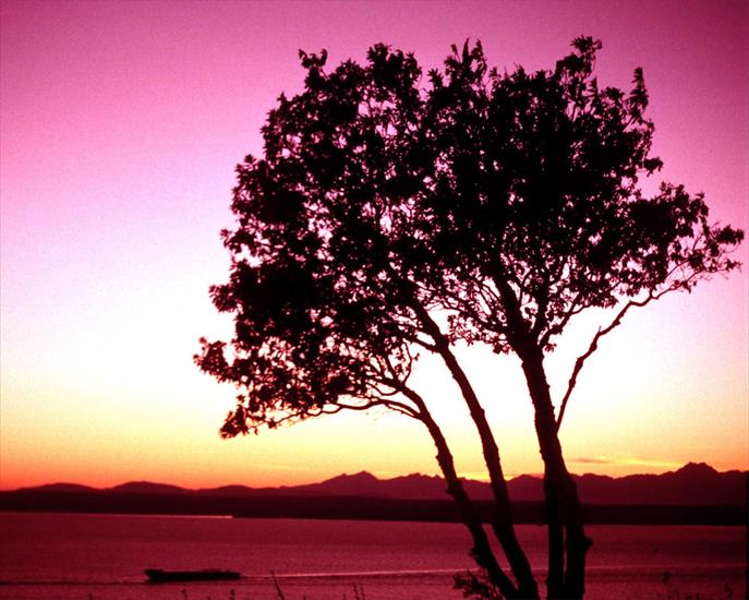 CA-Krajobraz - Sunset  Sky 024.jpg