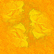  Żółte - Pomarańcz - 0005 1.jpg