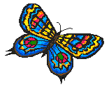 motyle - butterfly16fh7.gif