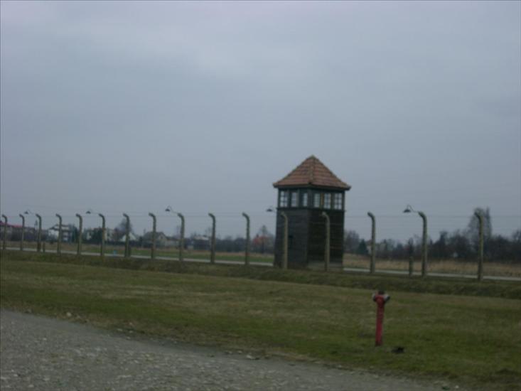 Auschwitz-Birkenau Birkenau - 1399.JPG