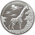 monety - Kongo zagrozone zwierzeta Zyrafa.gif