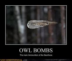 2. Demotywatory wg tematyki - owl bombs.jpg