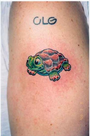 Skorpiony Pajaki - turtle-tattoo.jpg