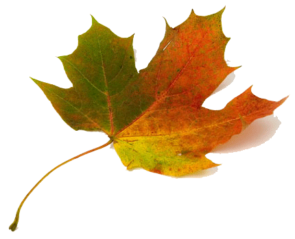 Linie Jesienne - leaf.gif