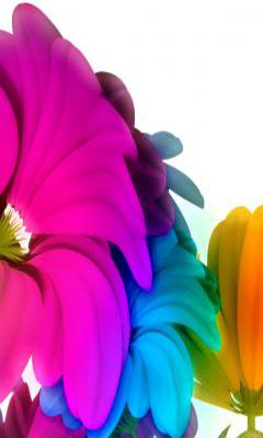 tapety na telefon 240x400 4samsun... - colourful-flower-samsung-a887-solstice-mobile-wallpaper.jpg