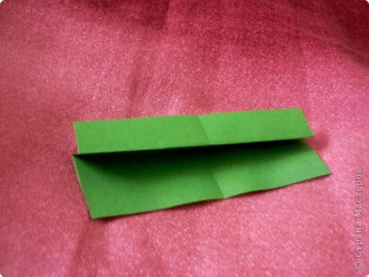 Origami - P1040064.jpg