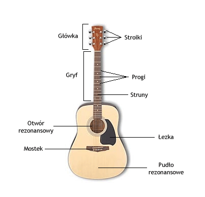 Gitara - budowa gitarki.gif