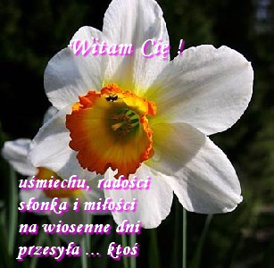 WIOSNA - 66754012.jpg