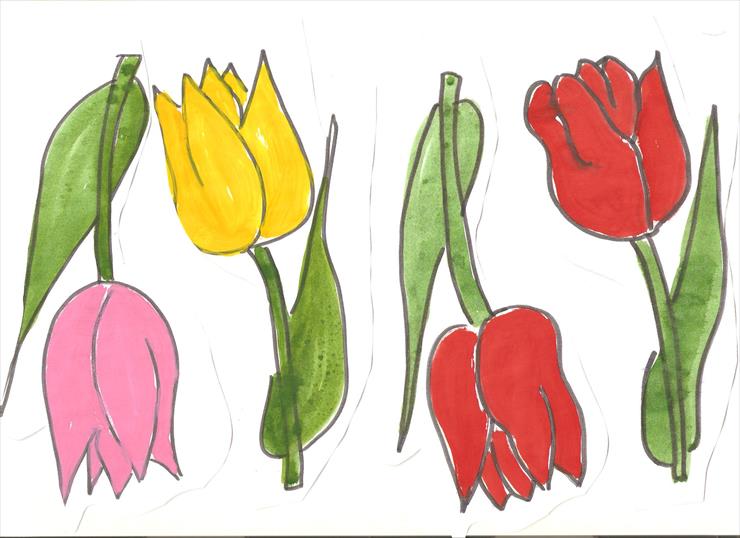 kwiaty - tulipany 1 001.jpg