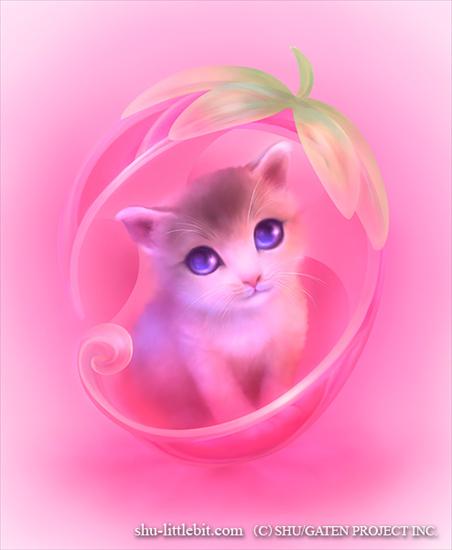 Candy - iCandy cat.jpg