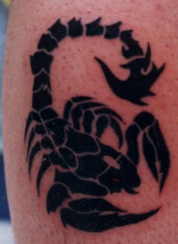 Tatuaże - tribal_scorpion tattoo.jpg