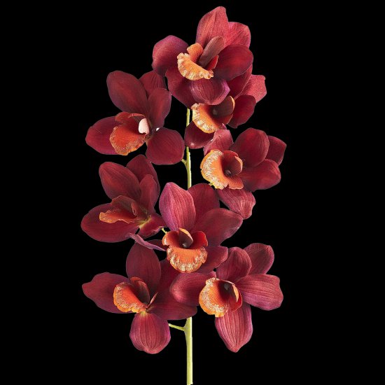 NEW KIT ASSORTED FLOWERS - 0037.png