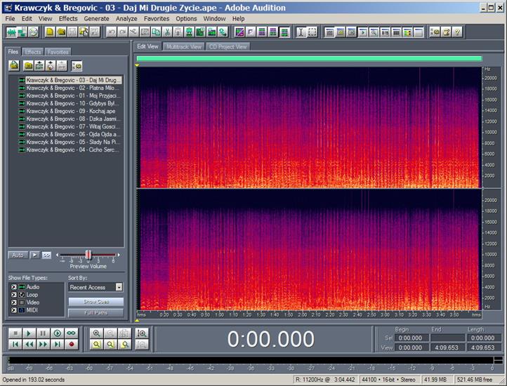 Adobe Audition spectrum - Track 03.jpg