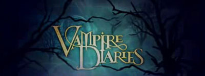 Zdjęcia - vampire-diaries-banner-58.jpg