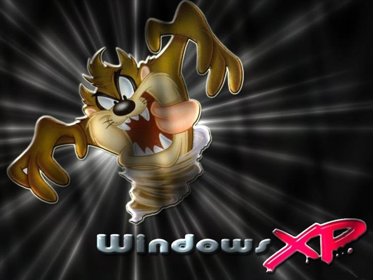 TAPETY WINDOWS - windows1.jpg