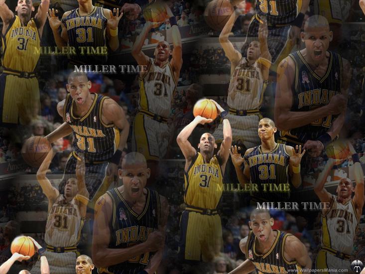 Basketball - 19_Basketball_Desktop_Wallpapers_1024x768.jpg