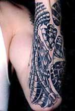 TATTO - 465YTRFG.jpg