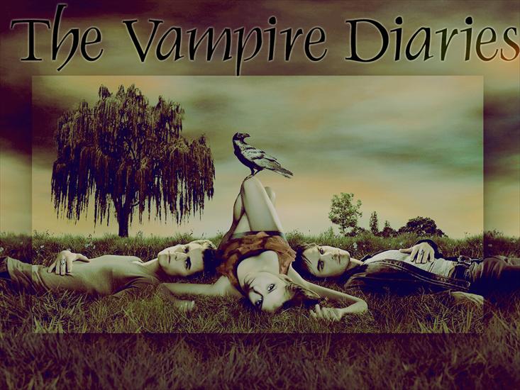 PLAKATY I TAPETY Z Pamiętników wampirów - The-Vampire-Diaries.jpg
