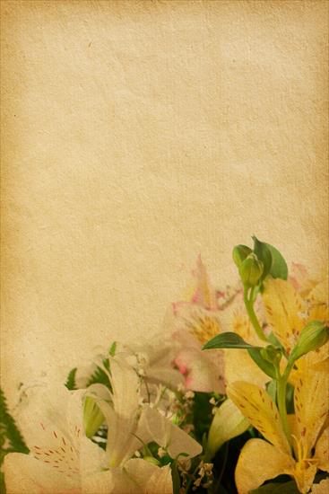 Floral1 - 03.jpg