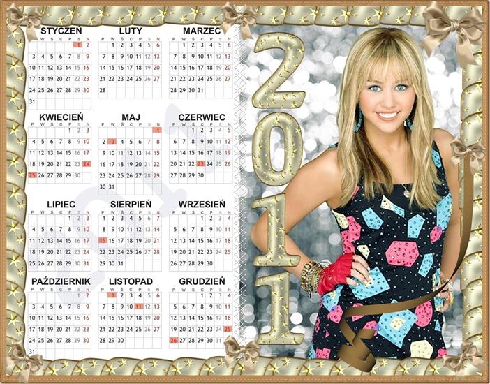 Kalendarze 2011 - kalendarz 2011 HANNAH MONTANA.JPG