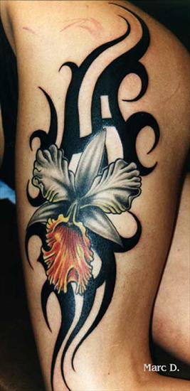 Tatuaże - tribal7.jpg