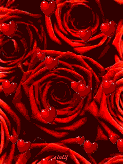 Happy Valentines Day images 240x320 gif - 18_Happy Valentines Day images 240x320.gif